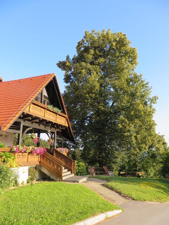 Country House Apat Sostanj Exterior photo